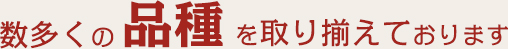 数多くの品種を取り揃えております